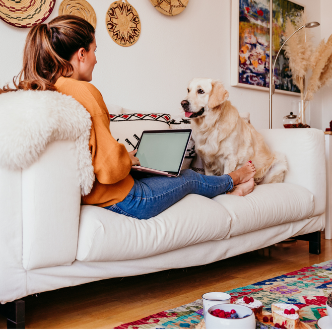 Lounge+and+dog+on+laptop